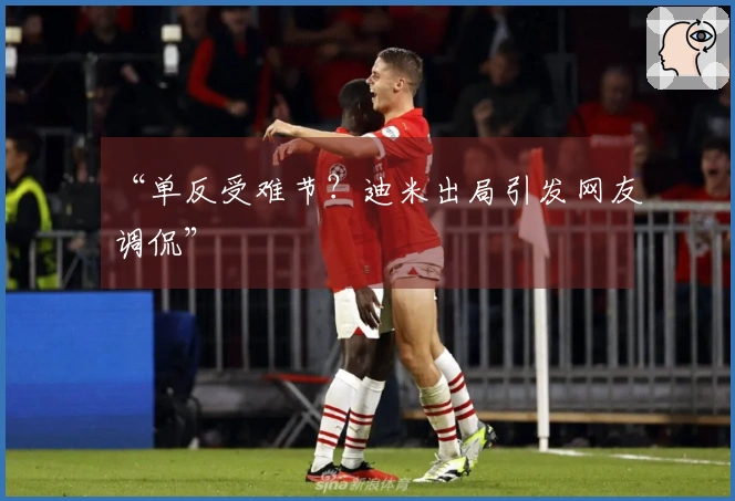 “单反受难节？迪米出局引发网友调侃”